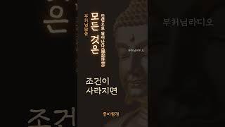 모든 것은 인연으로 일어난다 | 부처님말씀 | 석가모니명언 | 인생지혜 | 명상의말씀