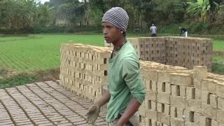 MADAGASCAR - 06 - Tomasina (Part 2) Brick- Ricefieldworkers