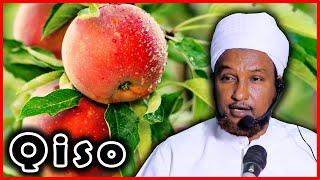 Qiso Cusub‼ Ninkii Safarka Ahaa Ee Tufaax Anu Lahayn Cunay + Alle Ka Cabsiga┇►Sh Xuseen Jabuuti