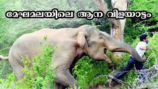 മേഘമലയിൽ ആന ഓടിച്ചപ്പോൾ  Meghamala Elephant Attack And High Wavy Mountains