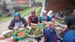 Bir düğün klasiği bütün köy toplandı yaprak sarması yapıyoruz