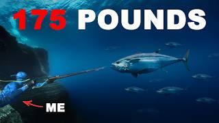Hunting The Most Powerful Tuna On Earth...100 ft deep