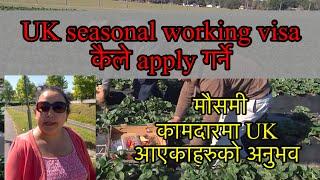 UK seasonal worker visa कैले apply गर्ने र कसरी विस्तृत जानकारी प्राप्त गर्ने  #manjulingdam