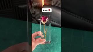 ROSE TRAPPED IN BLOCK USING EPOXY RESI VALENTINE'S DAY GIFT|#valentine #valentinesday #valentineday