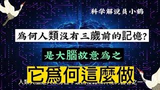 爲何人類沒有三歲前的記憶？是大腦故意爲之，它爲何這麼做＃大腦發育＃神經連接形成＃突觸可塑性＃學習與記憶＃嬰兒記憶＃大腦發展階段＃神經系統成＃記憶形成機制＃記憶消失理論＃發展心理學研究