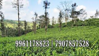 15 Acre highway side land for sale near Vagamon at very low price | Kerala Real Estate