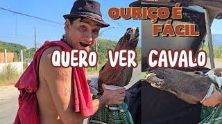 QUERO VER CORTA CAVALO  #mestrejonan #mestremagno #magnodeogum #magno #exumagno