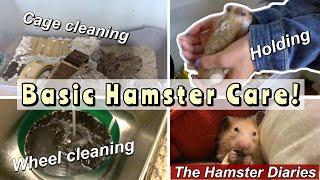 Basic Hamster Care~ How to Cage & Wheel Clean // The Hamster Diaries Episode 1