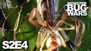 MONSTER BUG WARS | Mother of All Wars | S2E4