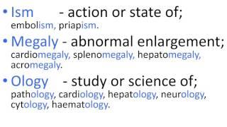 Medical Terms 4, Suffixes