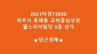 2021타경72030 파주 동패동 교하중심상권 웰스피아빌딩 5층 상가