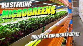 Microgreens Business | Investing In The Right Team