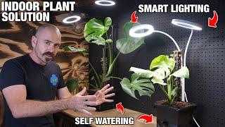 The Solution to Your Indoor Plant Problems: Halo Grow Light x Self Watering Multi-Bucket