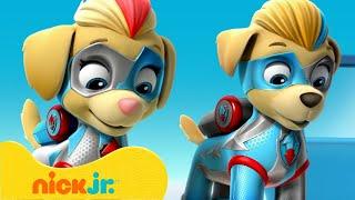 PAW Patrol | ¡Lo Mejor de PAW Patrol Mighty Twins!  | Nick Jr. en Español