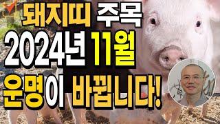 2024년 11월! 돼지띠 운명이 완전히 바뀝니다! 충격적인 운세 대공개 [운곡스님의 점찰이야기]