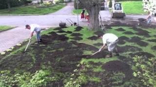 Reseeding The Lawn