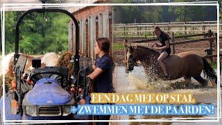 ZWEMMEN MET DE PAARDEN! EEN DAG MET ONS MEE OP STAL! || VLOG Paardzoektbaas