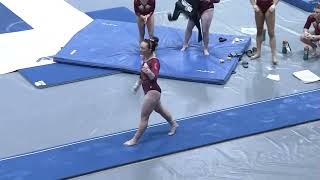 Emma Lavelle (Centenary) 2022 Vault