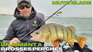 MUTO BLADE: the big perch lure!