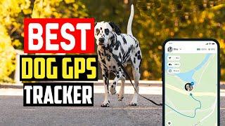 Best dog gps tracker in 2023