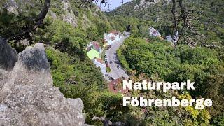 Naturpark Föhrenberge with iPhone 11 Pro Max DJI Mini 2 | 4K