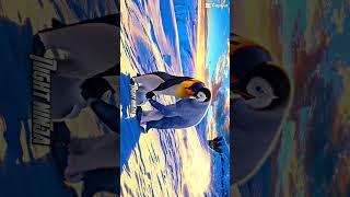 #audio #music #artist #art #artwork #gorillatag #vrarcade #fortnitefunny