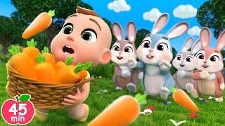 Baby Lala Wakes Up Sleeping Bunnies  + MORE Lalafun Nursery Rhymes & Kids Songs