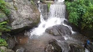 Pagla Jhora, Kurseong, Darjeeling