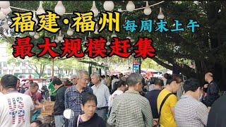 福州最大赶集市场，几十年来依旧人声鼎沸，福州人必须知道的淘货好去处 China market