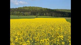 MTB - Tour -- Übersberg - Rutschenfels - Höllenlöcher