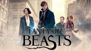 Fantastic Beasts and Where to Find Them (2016) Movie | Eddie Redmayne,Katherine | Fact And Review