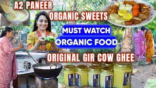 MUST WATCH THIS VIDEO | Original Gir Cow Ghee | Best Food on NH48 | Famous Food in Gujarat