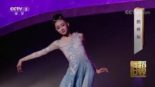 Chinese Classical Dance - Que Qiao Xian