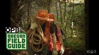 Descending Into The Hell Hole Of Oregon’s Central Cascades (1995)