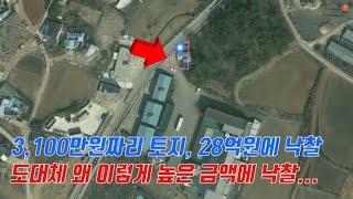 3,100만원짜리 토지를 28억원에 낙찰 왜 그랬을까
