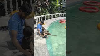 Sana & Sayfan swimming with his Papa at Prasad Paradise Hotel #viral #shortvideos #tour  #shorts