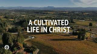 A Cultivated Life in Christ | Audio Reading | Our Daily Bread Devotional | February 6, 2025