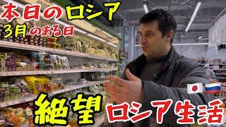 【速報】3月生活状況‼️白菜の価格も調査‼️