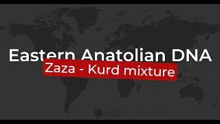 Zaza Kurd DNA from Van