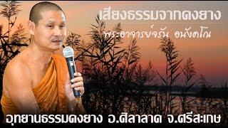 #เสียงธรรมจากดงยาง #พระอาจารย์จรัน อนังคโณ แสดงธรรมค่ำวันที่ ๑๑ สิงหาคม ๒๕๖๖