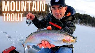 RAPALA Slab Rap Rainbow Trout Ice Fishing