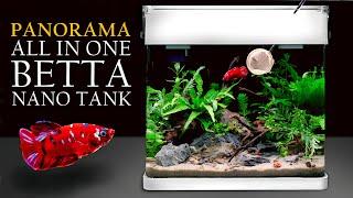 PANORAMA: Nano Betta Aquarium Build Tutorial