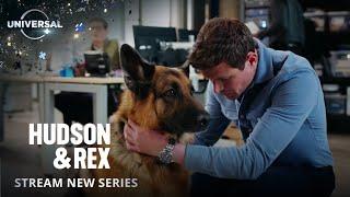 Hudson & Rex | New Season May 30 | Universal TV on Universal+