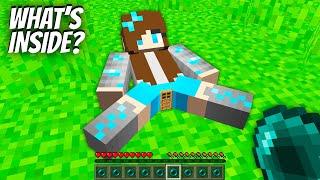 I found the MOST SECRET BASE INSIDE THE DIAMOND GIRL in Minecraft ! NEW SECRET TINY DOOR !