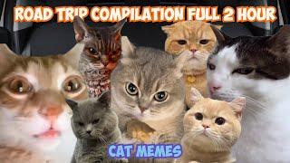 Cat MEMES Road Trip COMPILATION Full 2 Hour