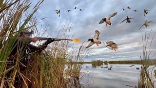 DECOYING Mallards in a SECRET Public Land Pot Hole! (3 Man Limit)