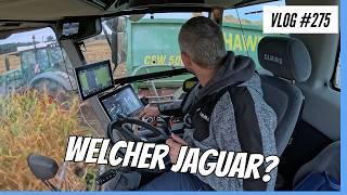 Vlog #275 Maiserte 2024 with a Claas Jaguar XXX