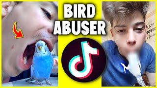 4 Terrible Things People did to their Budgies | Part 4