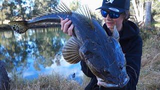 This Tiny Creek Holds Some Big Fish!