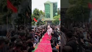 Shabih e Zuljana Imam Hussain a.s | 9 Muharram 1445H, 2023 #shortvideo #zuljanah